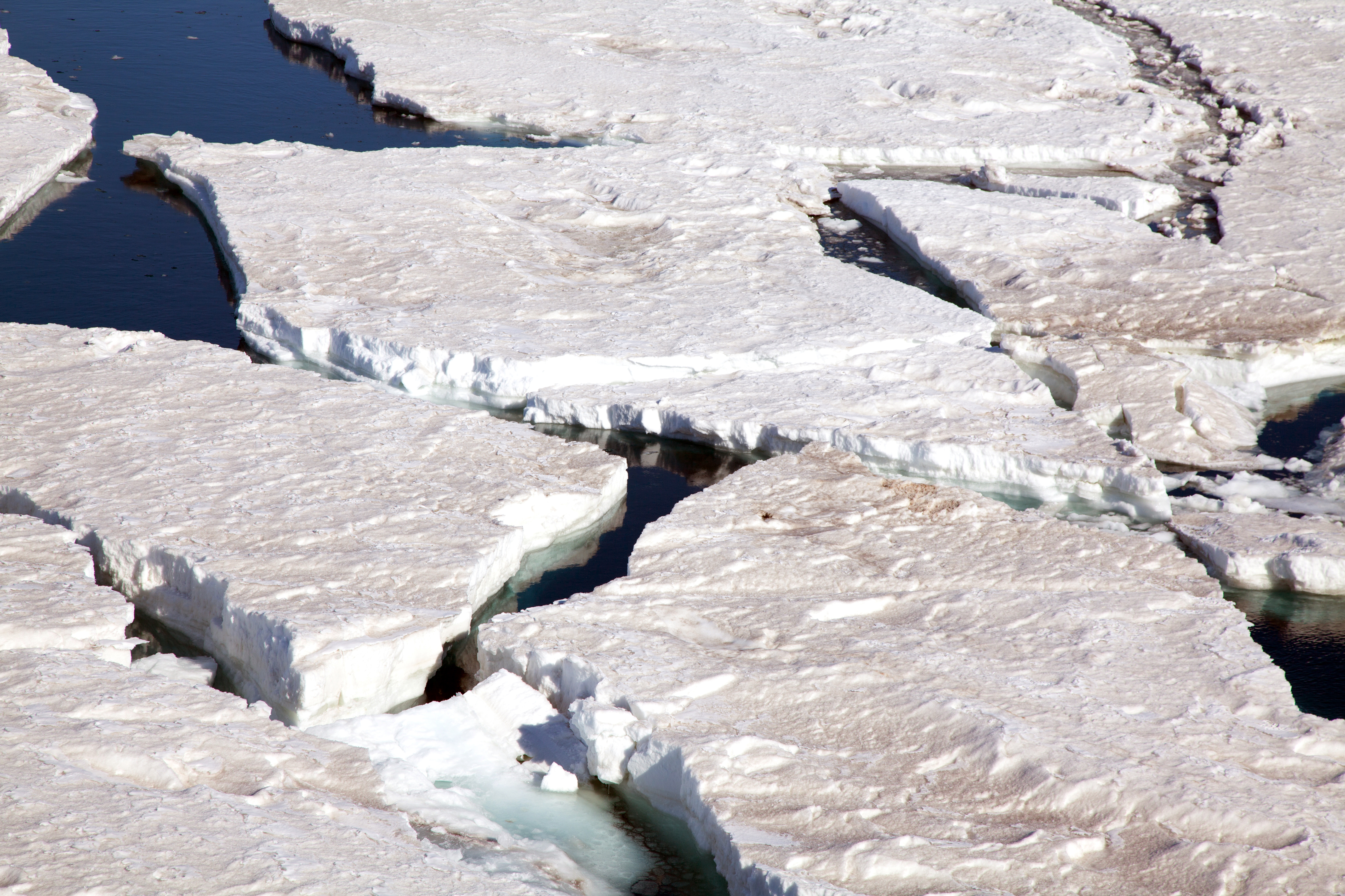 Ice floats on water.