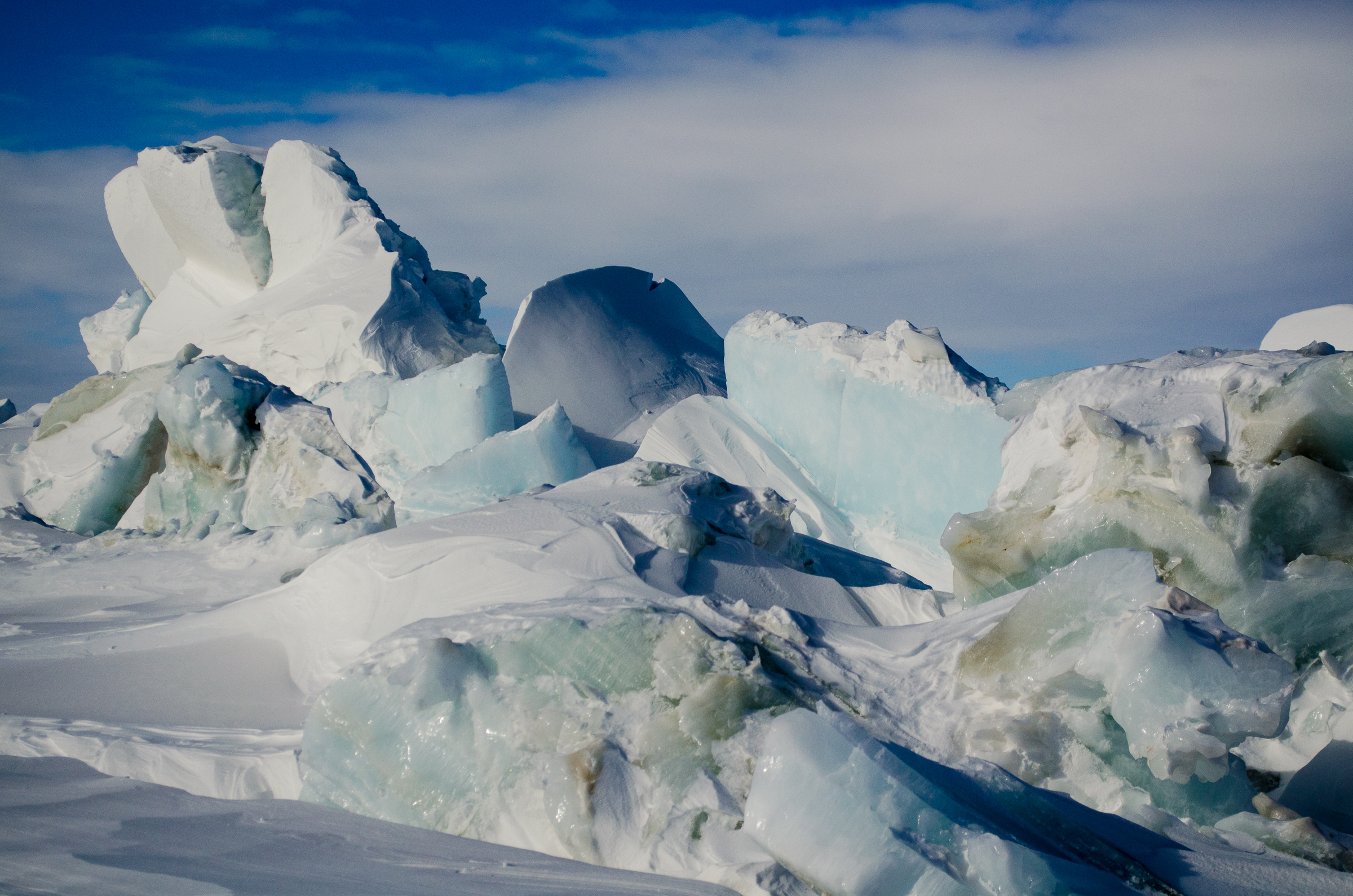 Pressure ridges of snow are pushed up when moving sea ice pushes against stable ice.