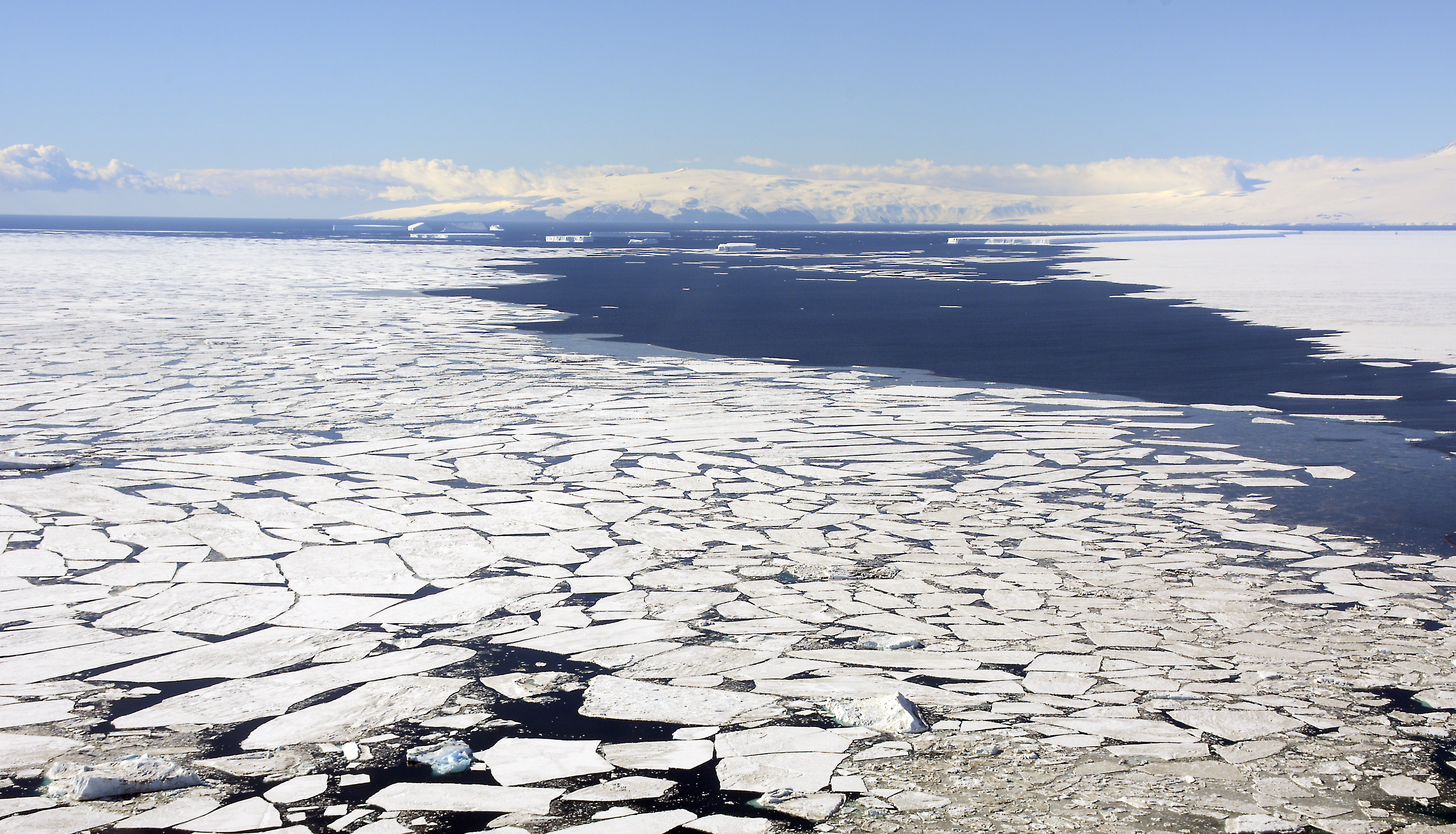 Broken sea ice floats in water.